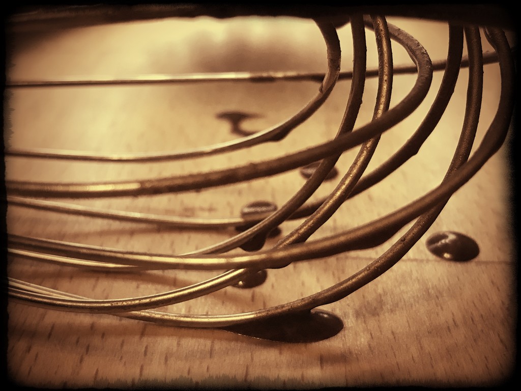 Day 172:  Wire Whisk by sheilalorson