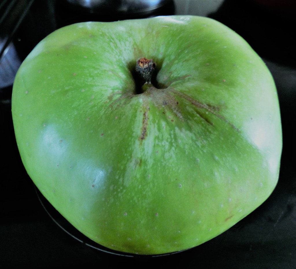 One green apple  ! by beryl