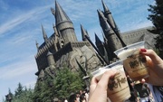 20th Aug 2017 - Harry Potter theme park