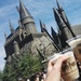 Harry Potter theme park by nami