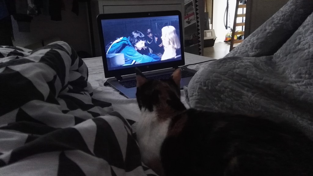 watching movies together by nami