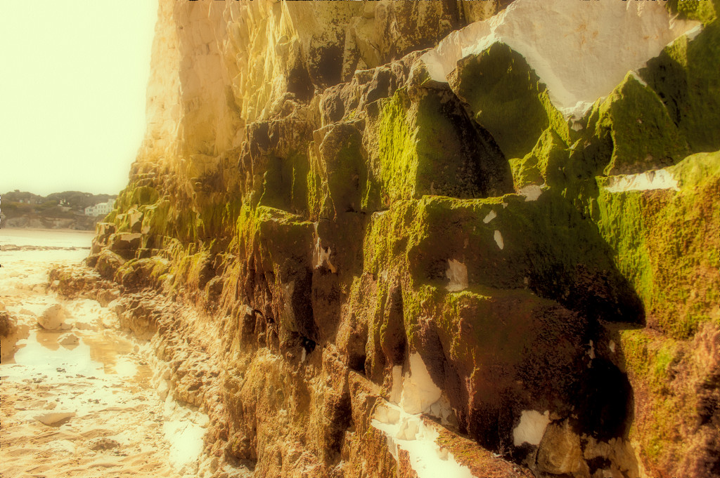 Algae covered cliffs by fbailey