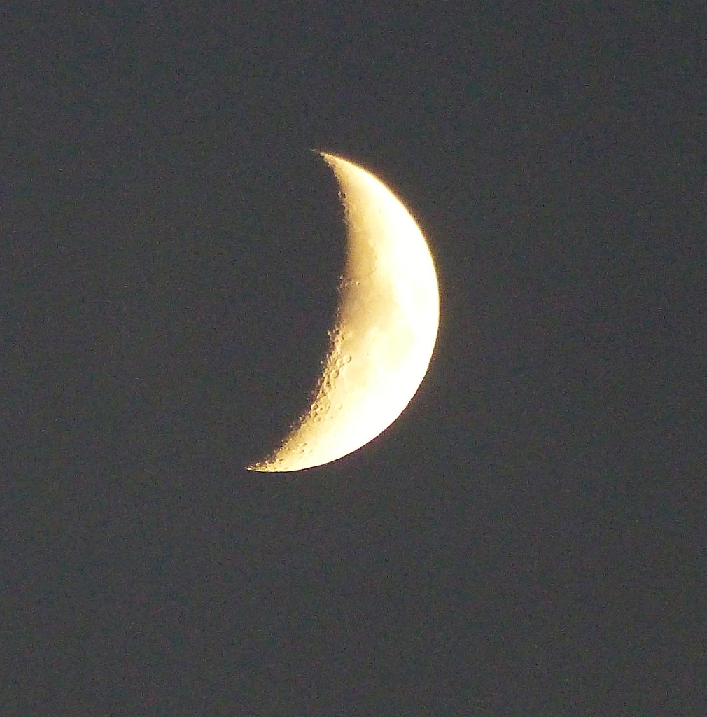 Crescent Moon by susiemc