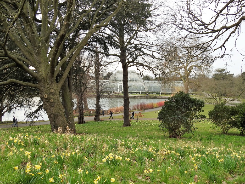  Kew Gardens View  by susiemc