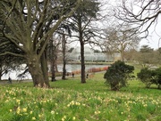 8th Mar 2018 -  Kew Gardens View 