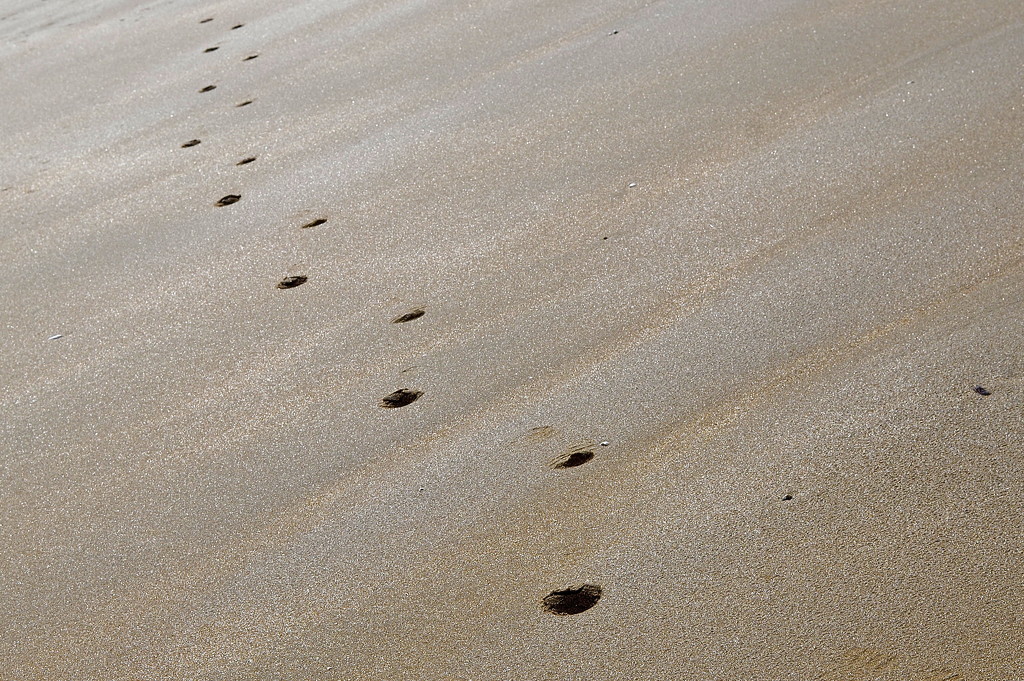 Footprints in the Sand by redandwhite