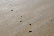 8th Mar 2018 - Footprints in the Sand
