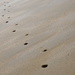 Footprints in the Sand by redandwhite