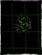 8th Mar 2018 - Tree in the window
