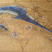 Swordfish Mosaic by onewing