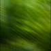 Abstract - Green by chikadnz
