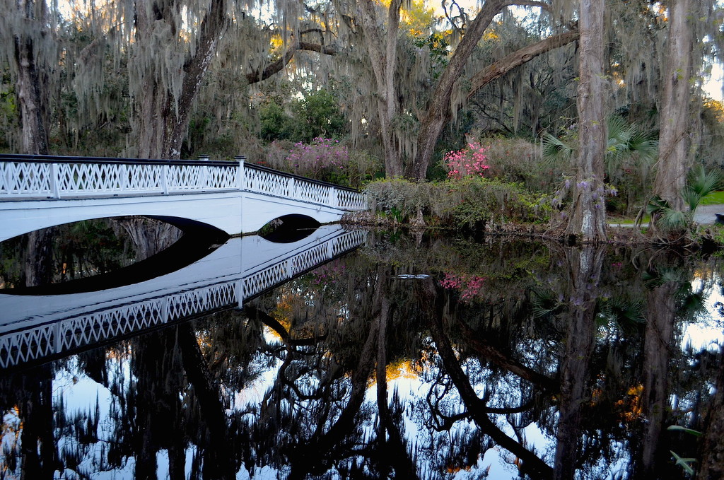 The Long White Bridge at Magnolia Gardens by congaree