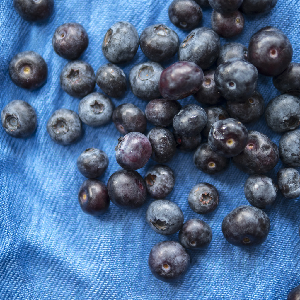 Blueberries by newbank