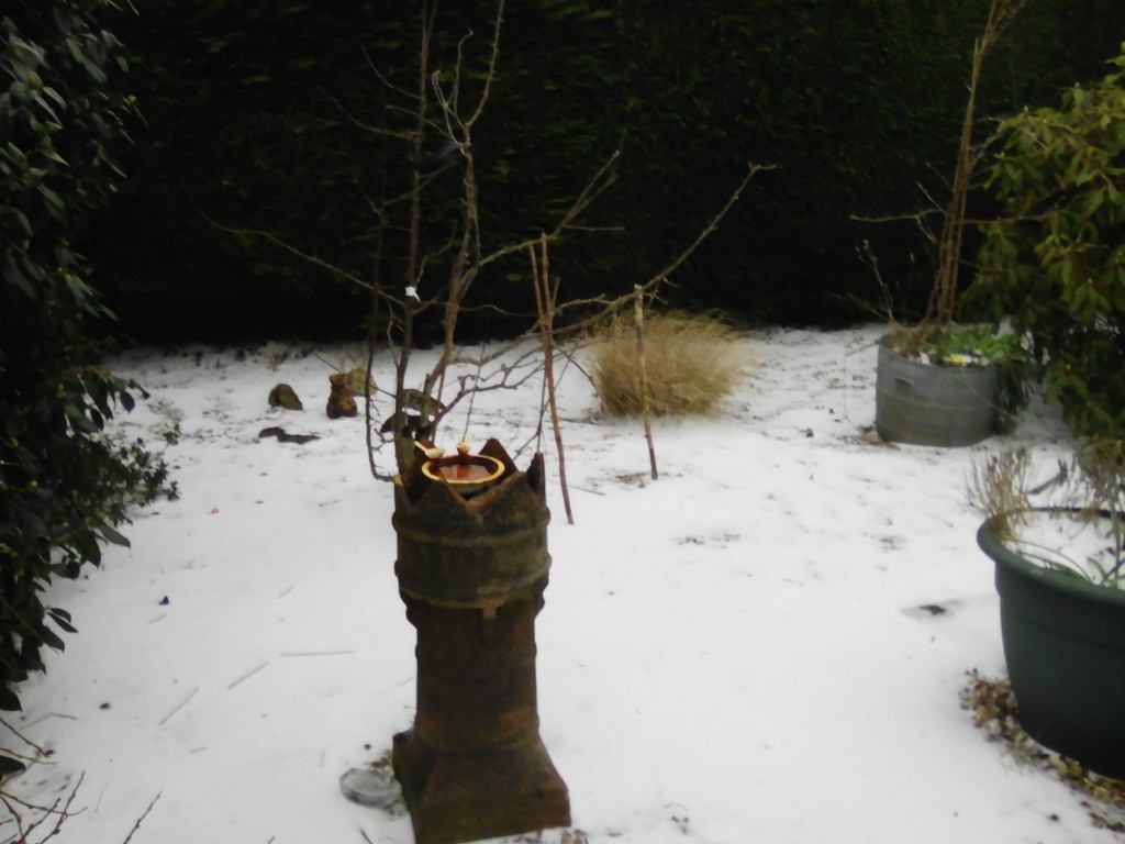 Snow in Tavistock by jennymdennis
