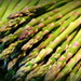 GREEN Asparagus by homeschoolmom