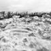 hedgerow snow  by 365projectdrewpdavies
