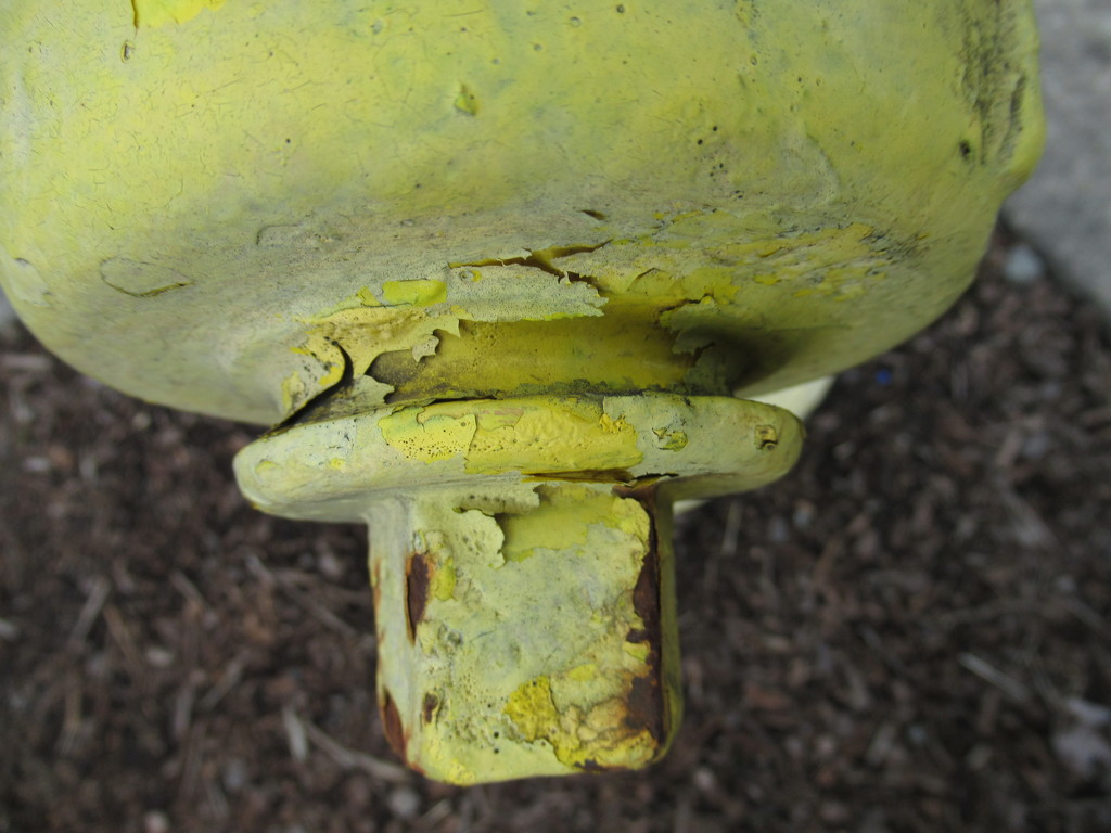Yellow Hydrant by granagringa