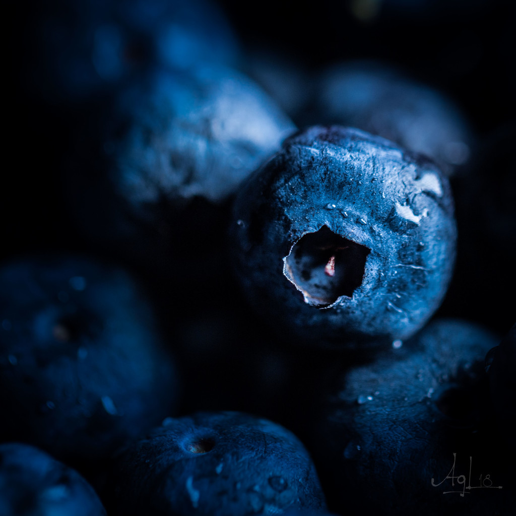 Blue-Berry by adi314