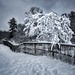 Frozen by adi314