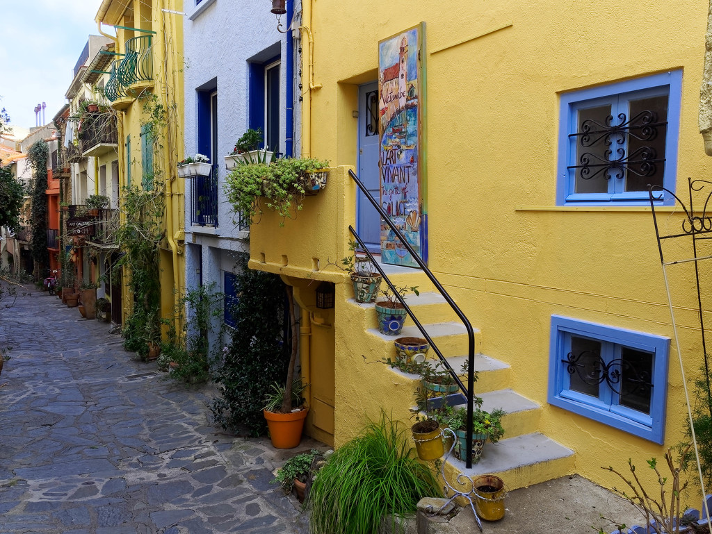 Back street  colour in Collioure by laroque