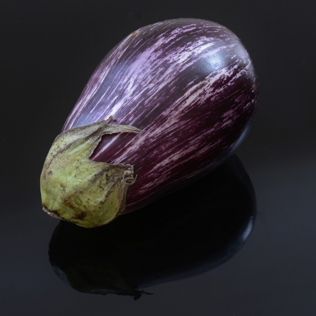 An Indigo Eggplant.... _DSC8327 by merrelyn