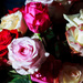 Side-Lit Bouquet by swchappell