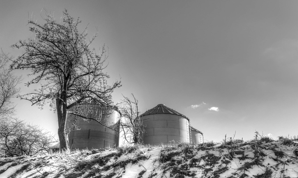 Short silos? by mittens
