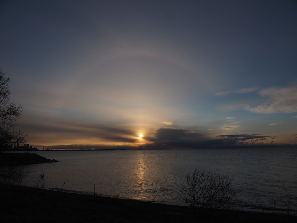 Sun Dog by selkie