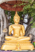 10th Mar 2018 - Buddha