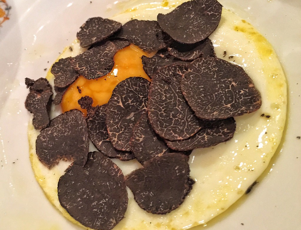 Egg with truffle.  by cocobella