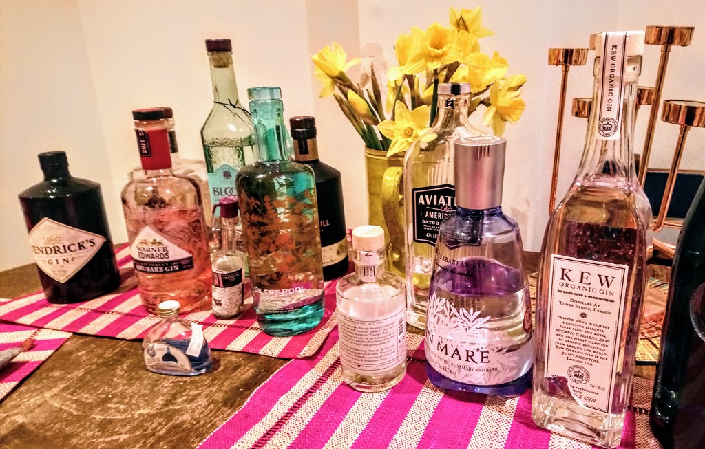 Gin tasting by boxplayer