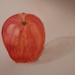 Apple painting by julie