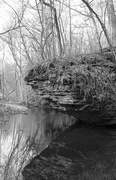 10th Mar 2018 - Carver-Roehl State Natural Area #1