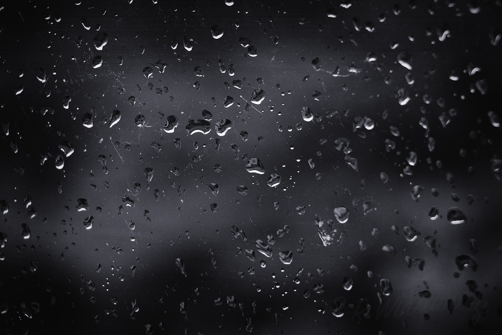 Rainy Day by kipper1951