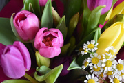 11th Mar 2018 - 70. Mothers Day Flowers