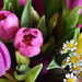 70. Mothers Day Flowers by dragey74