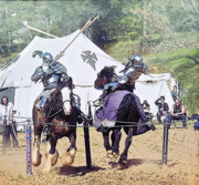 11th Mar 2018 - Jousting Knights