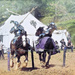 Jousting Knights by joysfocus