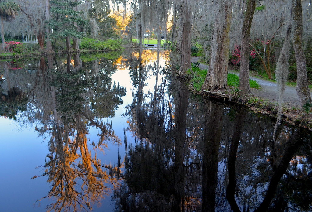 Tranquil path and reflections, Magnolia Gardens, Charleston, SC by congaree