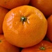 Day 13: Orange by carole_sandford