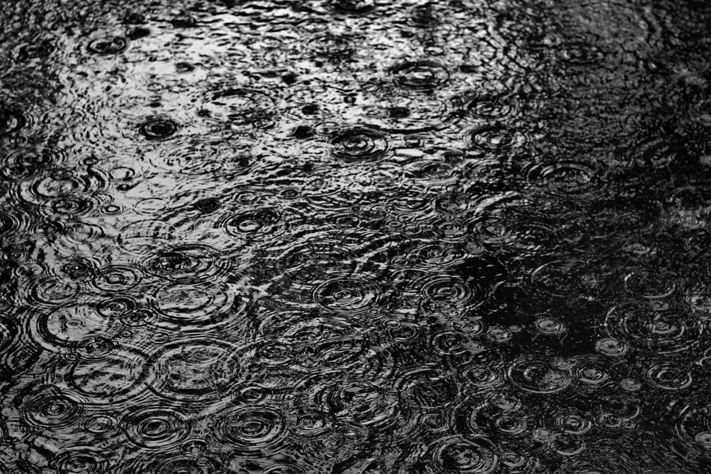 Rain Puddle by jaybutterfield
