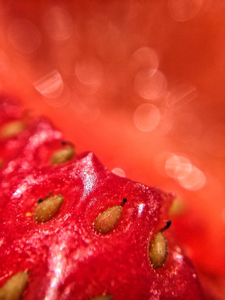 Macro strawberry.  by cocobella