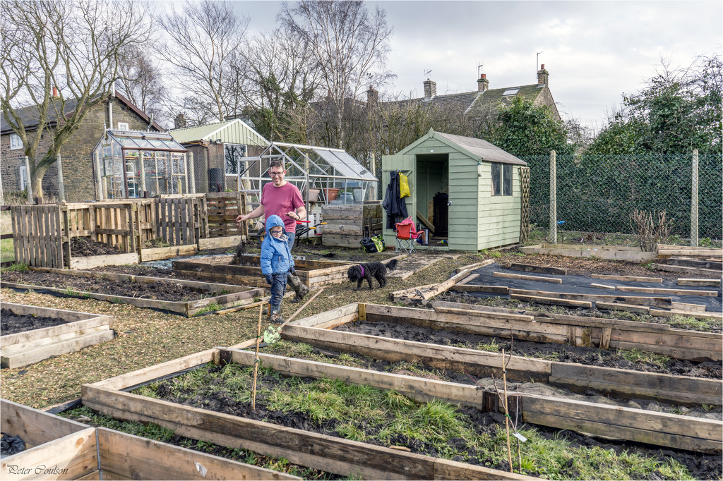 Simon's Allotment by pcoulson
