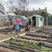 Simon's Allotment by pcoulson