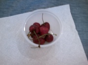 3rd Jan 2011 - Bowl of Cherries snack 1-3-11