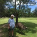 Emu stalking by sugarmuser