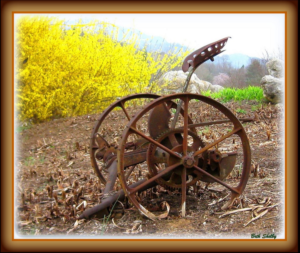 Plow from the Past by vernabeth