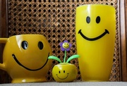 14th Mar 2018 - Yellow Smiley Cup family