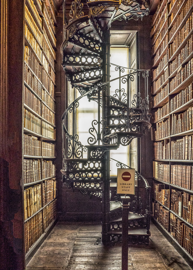 Library Stairs by rosiekerr