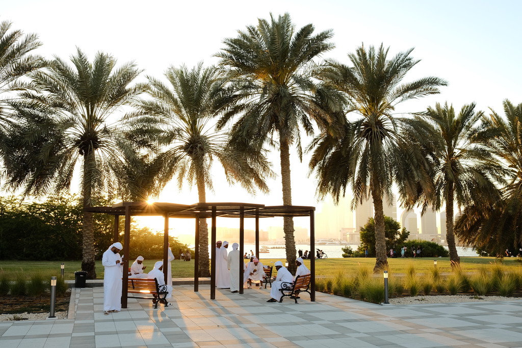 Al Bateen, Abu Dhabi by stefanotrezzi